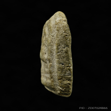 พระผงกระดูกผี  