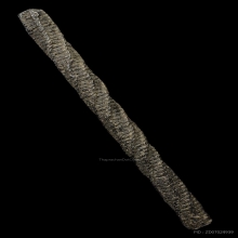 ตะกรุดยอดมงกุฏพระพุทธเจ้า หลวงปู่เอี่ยม วัดหนัง 