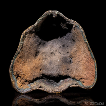 พระบูชารัตนโกสินทร์ปางนาคปรก