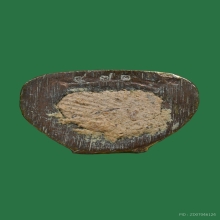 กุมารจินดามณี ล.พ.สาคร ว.หนองกรับ