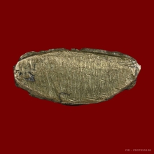 พระชัยไพรีพินาศวัดบวรนิเวศ 2495