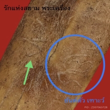 ตะกรุดกระดูกแร้ง หลวงพ่อศรี วัดพระปรางค์ บางระจัน สิงห์บุรี