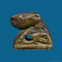 เสือ ล.พ.วงศ์ วัดปริวาสราชสงคราม 