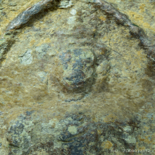 พระขุนแผนสะกดทัพ กรุเขาชนไก่ เนื้อตะกั่วสนิมแดง จ.กาญจนบุรี