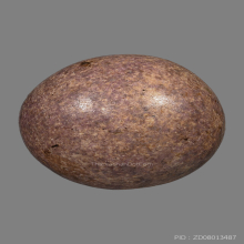 ลูกอมมหาจินดามณี พระปลัดปาน วัดตุ๊กตา