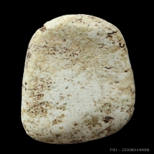 วัดพลับ สมาธิใหญ่ ดูง่าย