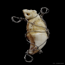 เขี้ยวเสือ หลวงพ่อคง วัดวังสรรพรส