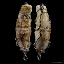 เขี้ยวเสือ หลวงพ่อคง วัดวังสรรพรส