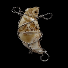 เขี้ยวเสือ หลวงพ่อคง วัดวังสรรพรส