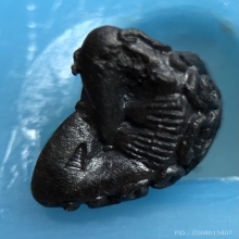 พระปิดตาสารพัดดี รุ่นแรก