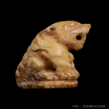 เสือ หลวงพ่อคง วัดวังสรรพรส