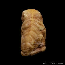 เสือ หลวงพ่อคง วัดวังสรรพรส