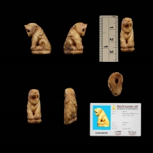 เสือ หลวงพ่อคง วัดวังสรรพรส