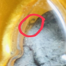 รูปถ่ายหลวงพ่อสงวน วัดเนรัญชราราม จ.เพชรบุรี