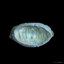 พระกริ่งหลังปิ วัดสุทัศน์ฯ ปี 2506 เนื้อนวะโลหะ สภาพสวยแชม