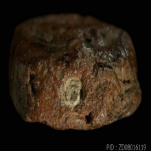 พระหลวงพ่อปาน พิมพ์ทรงครุฑเล็ก พร้อมบัตรสมาคม