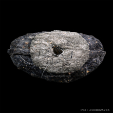 พระผงรูปเหมือนหลวงปู่ทวด-หลวงปู่ดู่ วัดสะแก+บัตรสมาคม