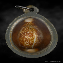 เบี้ยแก้หลวงพ่อไพล วัดบางแคกลาง 