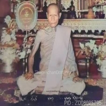 เบี้ยแก้หลวงพ่อไพล วัดบางแคกลาง 