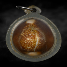 เบี้ยแก้หลวงพ่อไพล วัดบางแคกลาง 