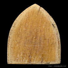 พระนาคปรก หลวงพ่อมุ่ย วัดดอนไร่(วันเสาร์)+บัตรสมาคม