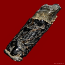 เก่าดี มันส์จัด 2 ซม. ลายสวย...