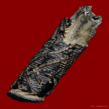 เก่าดี มันส์จัด 2 ซม. ลายสวย...