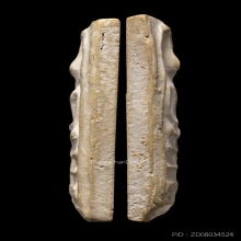 สมเด็จหลวงปู่ลำภู วัดบางขุนพรหม พิมพ์ใหญ่