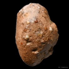 พระถ้ำเสือ พิมพ์ต้อจิ๋ว กรุเก่า