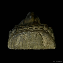 พระพุทธชินราช ท่านเจ้าคุณศรีสนธิ์ฯ วัดสุทัศน์ฯ ปี2493