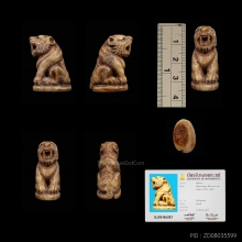 เสือ หลวงพ่อคง วัดวังสรรพรส