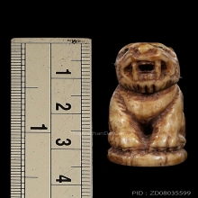 เสือ หลวงพ่อคง วัดวังสรรพรส