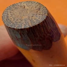 ตะกรุดไม้รวกมหาอุด ลป.ทัด วัดโบสถ์ อ.บ้านหมอ จ.สบ. 