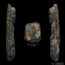 หลวงปู่ทวด เนื้อว่าน ปี 2497 พิมพ์พระรอดใหญ่(นิยม)