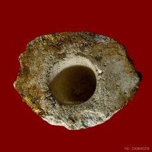 พระสังกัจจายน์ ท่านเจ้าคุณศรีสนธ์ วัดสุทัศน์ ปี2485