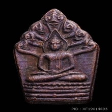 ปรกมะขามปี19หลวงพ่อคูณรุ่นสร้างบารมี