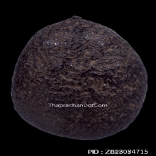 เบี้ยแก้ หลวงปู่รอด วัดนายโรง