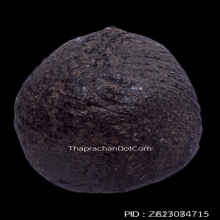 เบี้ยแก้ หลวงปู่รอด วัดนายโรง