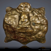 เต่าหลังพระพุทธ หลวงพ่ออิ่ม วัดหัวเขา