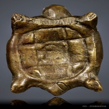 เต่าหลังพระพุทธ หลวงพ่ออิ่ม วัดหัวเขา