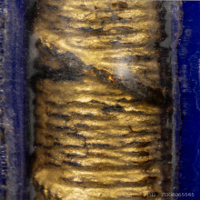 ตะกรุดหนังหน้าผากเสือ หลวงพ่อเที่ยง วัดม่วงชุม