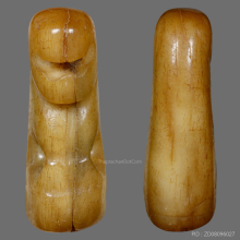 เสือหลวงพ่อสาย วัดคลองด่าน(บางเหี้ย) ศิลปะนิยมตัวจริง