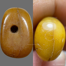 เสือหลวงพ่อสาย วัดคลองด่าน(บางเหี้ย) ศิลปะนิยมตัวจริง