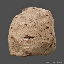 พระคงลำพูน กรุเก่า วัดพระคงฤๅษี ปีกกว้าง ฟอร์มดี 