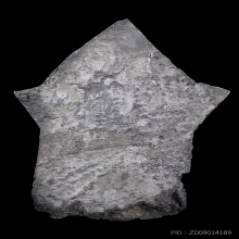 พระยอดขุนพล กรุวัดพระศรีฯ เนื้อชินเงิน จ.ลพบุรี