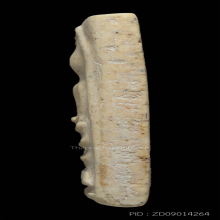 สมเด็จวัดระฆัง 100 ปี พิมพ์ฟอร์มเศียรโต (8)