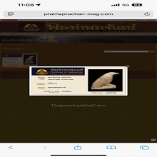 นกสาริกาจับปากโลงหลวงพ่อสนิท