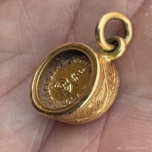 เหรียญกระดุมทองคำ หลวงพ่อแพ วัดพิกุลทอง ปี2525