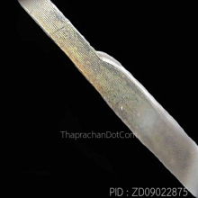 เหรียญที่ระลึกในการเสด็จเยือนประเทศสหรัฐอเมริกาฯ ปี 2503