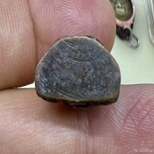 ลพ.ผาง วัดอุดมคงคาคีรีเขต บล๊อค พาง มีน้อยหายากสวยเดิม